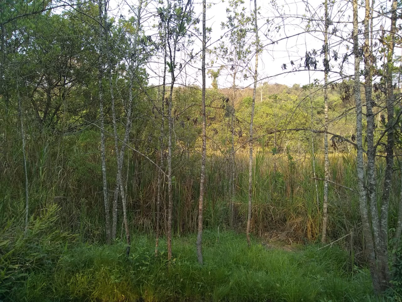 TERRENO A VENDA EM CAPIM BRANCO TERRENO A VENDA EM CAPIM BRANCO